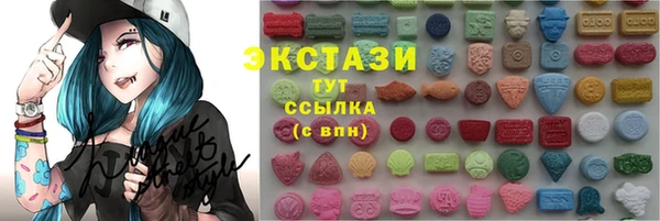 apvp Гусев
