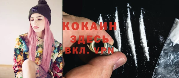 apvp Гусев