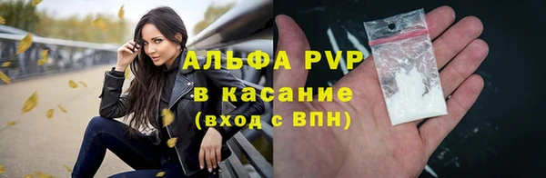 apvp Гусев