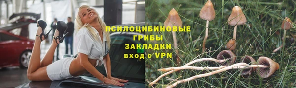 apvp Надым