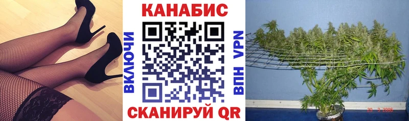 Шишки марихуана план  Онега 